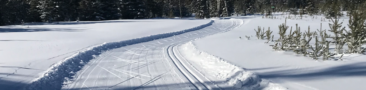 Nordic Skiing 100 Mile House